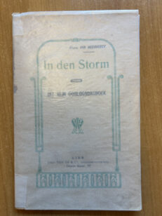 In den Storm